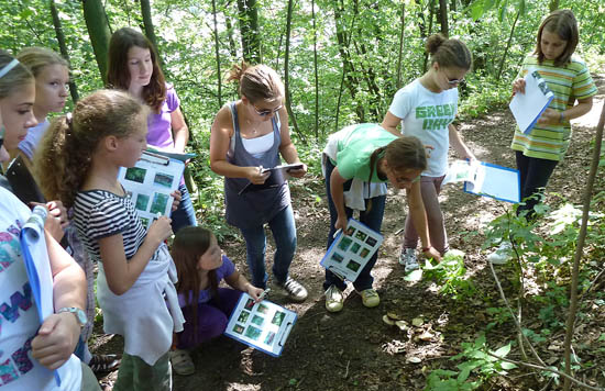 Englisch lernen, auch beim Spazieren im Wald